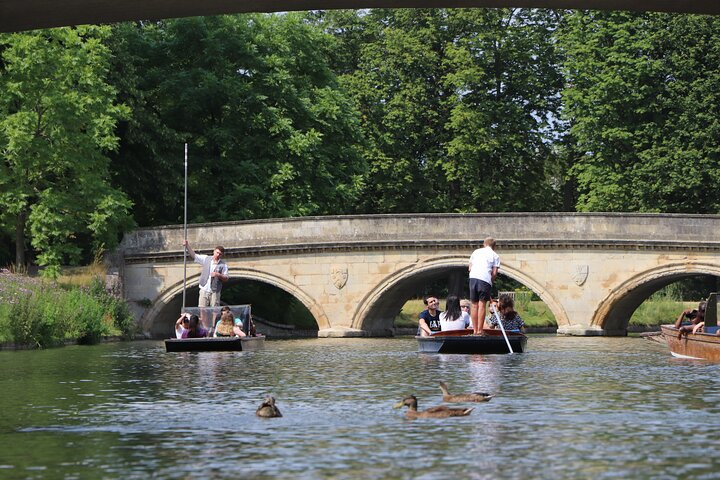 Punting along the college backs in Cambridge on a chauffeured punt tour